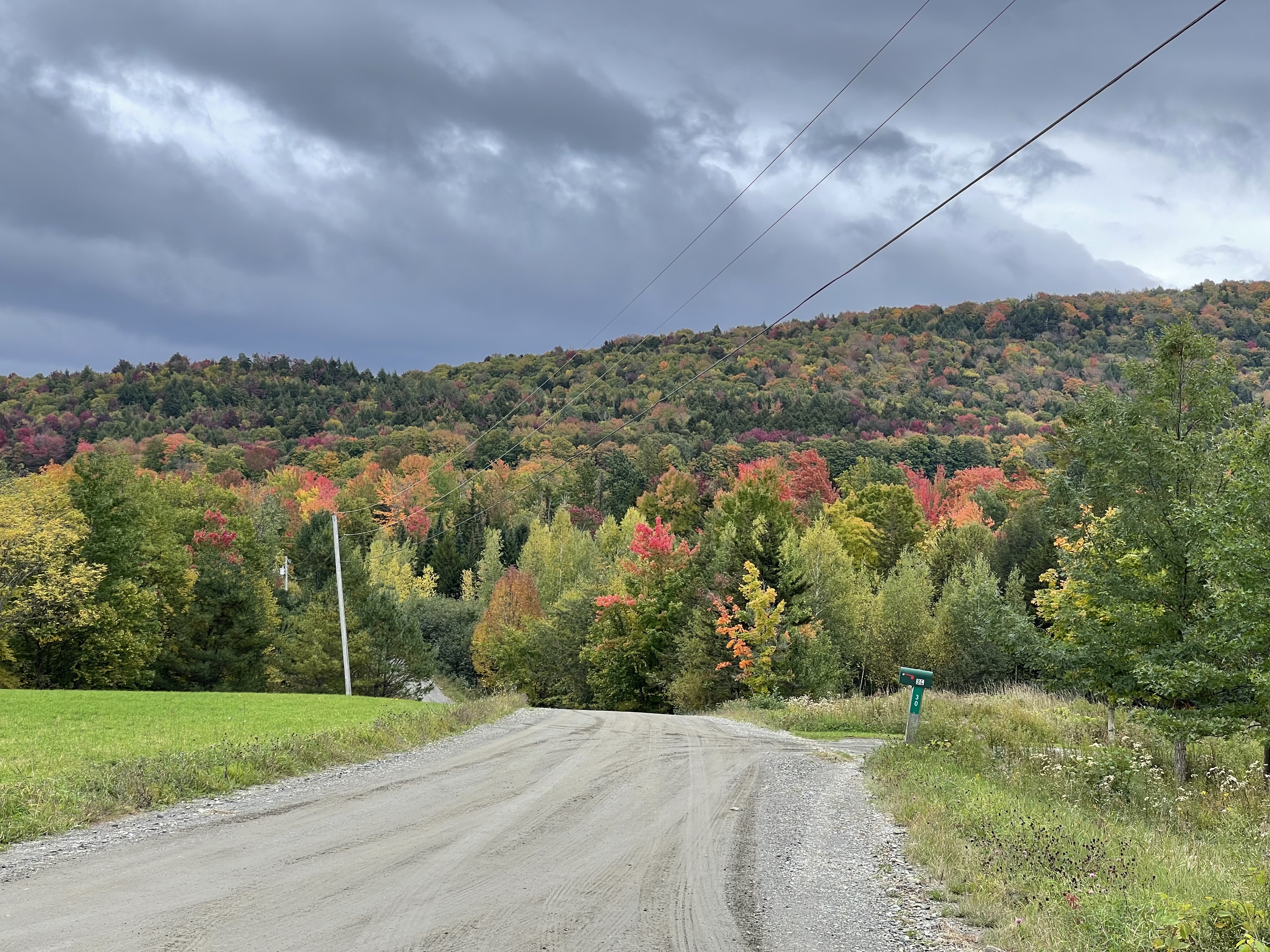 A country road winding through the Eastern Townships hills in fall colour