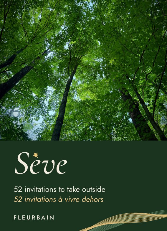 Sève tuck box: green canopy photograph, Sève wordmark with a gold maple leaf accent