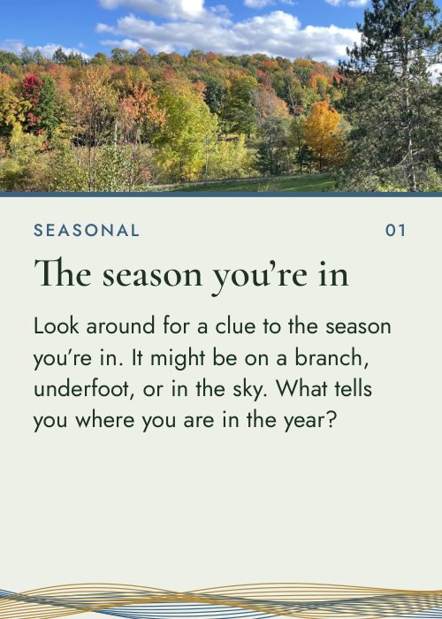 Card 1, The season you’re in