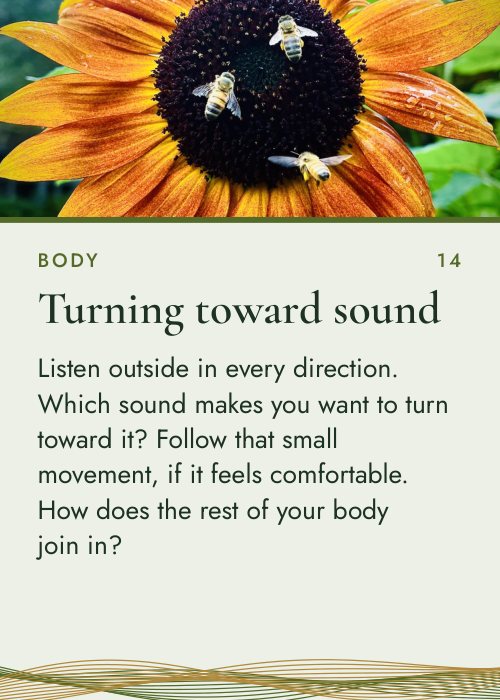 Card 14, Turning toward sound