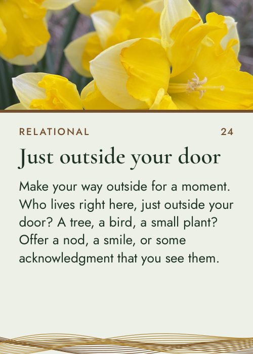 Card 24, Just outside your door, with yellow daffodils