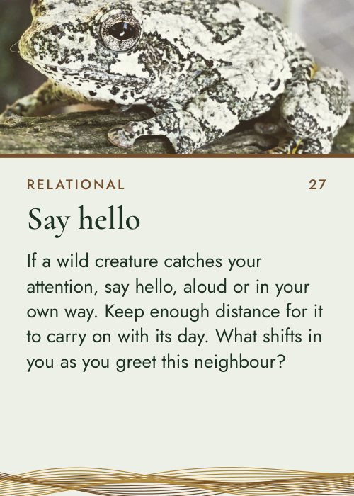 Card 27, Say hello