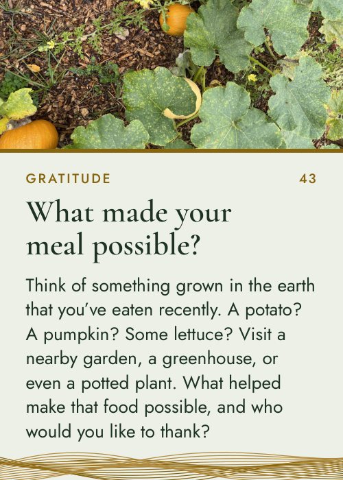 Card 43, What made your meal possible?