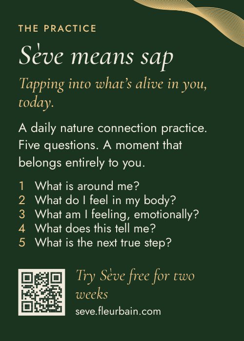 The practice card, with the five Sève questions